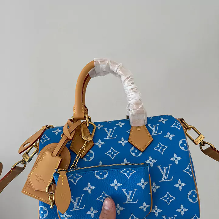   Louis Vuitton おしゃれ グリーン・レッド・ブルー・イエロー スピーディ25 ハンドバッグ 